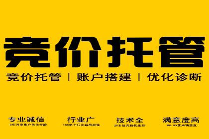 案例深度分析：SEM推广助力企业突破瓶颈